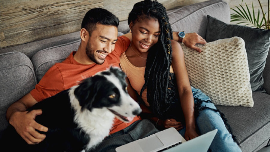a happy couple and their dog sit on a couch together as the couple reviews something on their laptop computer
